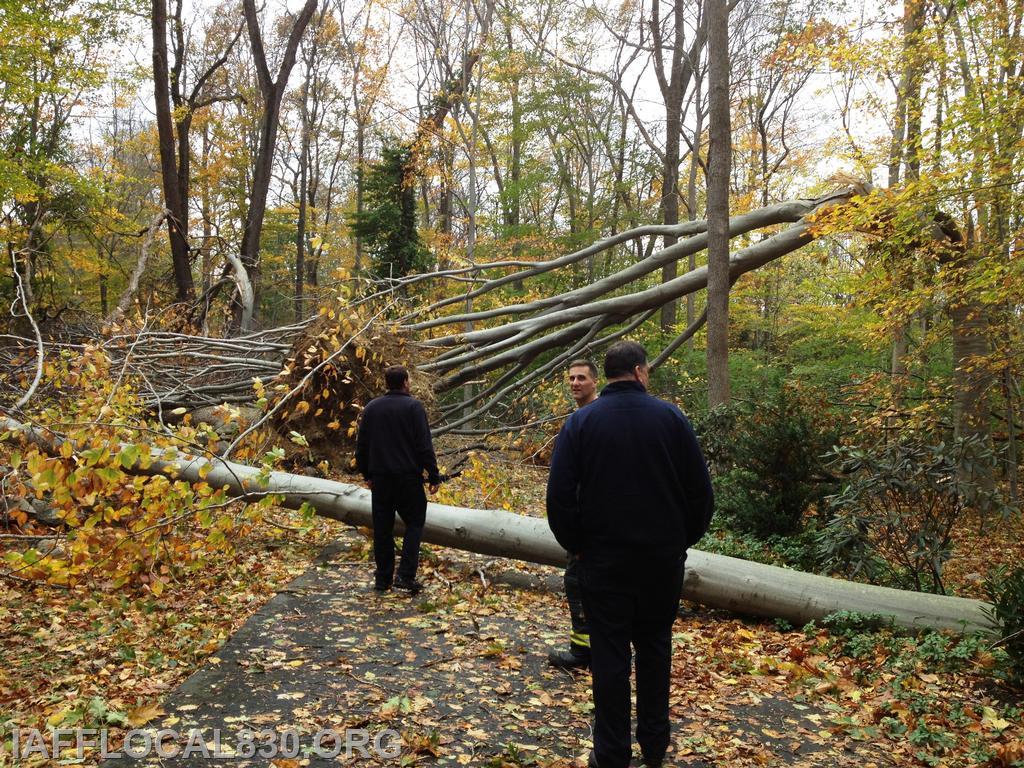 10/30/2012 Hurricane Sandy