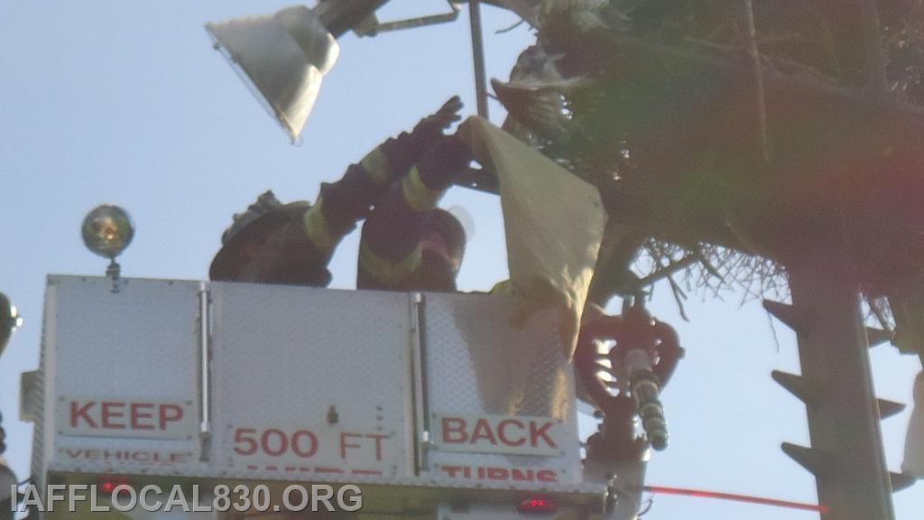 7/29/2013 Osprey Rescue
