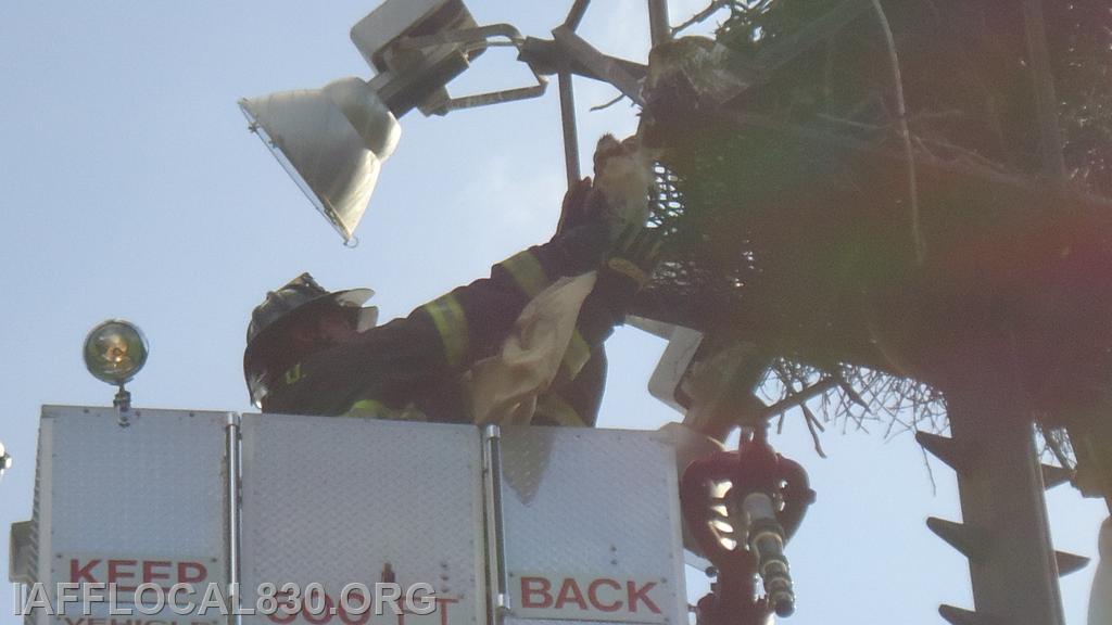 7/29/2013 Osprey Rescue