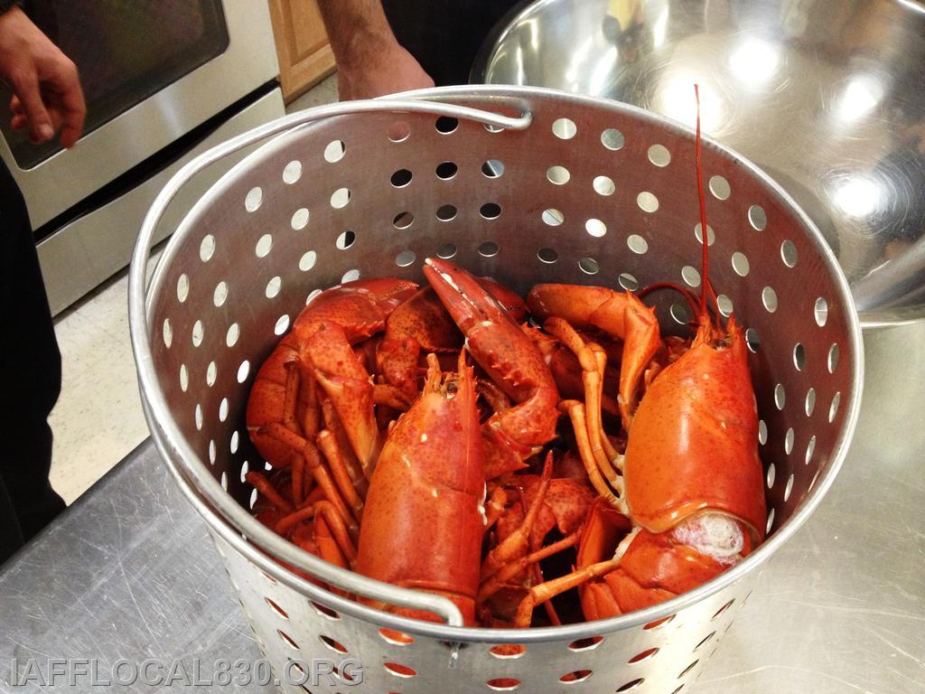 1/2/2013 Lobster Rolls
